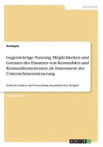 Gegenwärtige Nutzung, Möglichkeiten und Grenzen des Einsatzes von Kennzahlen und Kennzahlensystemen als Instrument der Unternehmenssteuerung