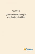Jüdische Eschatologie von Daniel bis Akiba