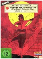 Naruto Shippuden - Jiraiyas Ninja-Schriften: Die Geschichte des Helden Naruto. Staffel.21.2, 2 DVD