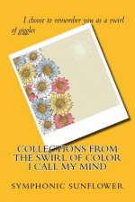 Collections From The Swirl Of Color I Call My Mind
