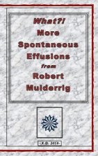What?! More Spontaneous Effusions from Robert Mulderrig.