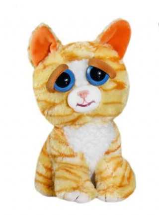 Feisty Pets Orange Cat