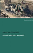 Aus dem Leben eines Taugenichts