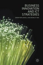 Business Innovation and ICT Strategies