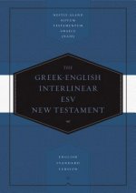 Greek-English Interlinear ESV New Testament: Nestle-Aland Novum Testamentum Graece  and English Standard Version (ESV)