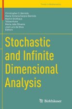 Stochastic and Infinite Dimensional Analysis