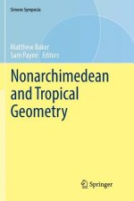 Nonarchimedean and Tropical Geometry