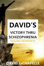 David's Victory Thru Schizophrenia