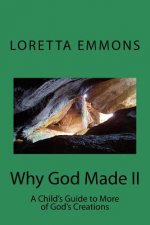 Why God Made II: A Child's Guide to More of God's Creations
