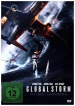 Global Storm - Die finale Katastrophe, 1 DVD