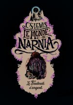 Le fauteuil d'argent