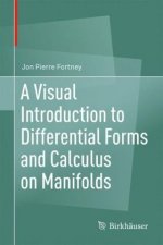 Visual Introduction to Differential Forms and Calculus on Manifolds