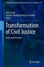 Transformation of Civil Justice