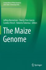 Maize Genome