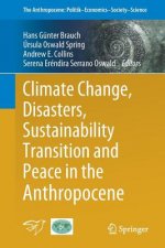 Climate Change, Disasters, Sustainability Transition and Peace in the Anthropocene