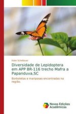 Diversidade de Lepidoptera em APP BR-116 trecho Mafra a Papanduva, SC
