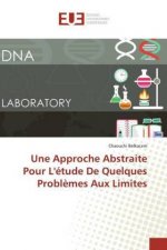 Une Approche Abstraite Pour L'étude De Quelques Probl?mes Aux Limites