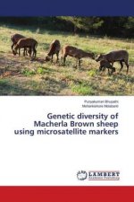 Genetic diversity of Macherla Brown sheep using microsatellite markers