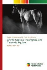 Artrite Septica Traumatica em Tarso de Equino