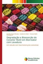 Degradacao e Biossorcao do Corante Textil em Biorreator com Levedura