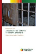 realidade do sistema carcerario brasileiro