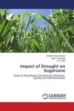 Impact of Drought on Sugarcane