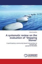 systematic review on the evaluation of 'Stepping Stones'