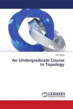 Undergraduate Course In Topology