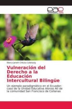 Vulneracion del Derecho a la Educacion Intercultural Bilingue