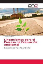 Lineamientos para el Proceso de Evaluacion Ambiental