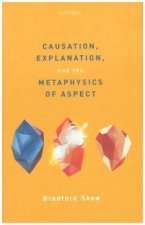 Causation, Explanation, and the Metaphysics of Aspect