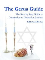 Gerus Guide - The Step By Step Guide to Conversion to Orthodox Judaism