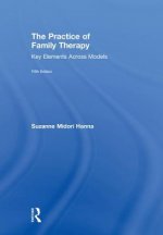 Practice of Family Therapy