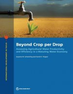 Beyond crop per drop