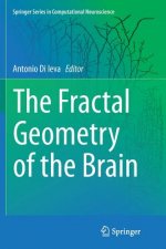 Fractal Geometry of the Brain