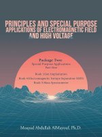 Principles and Special-Purpose Applications of Electromagnetic Field and High Voltage