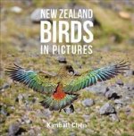 New Zealand Birds in Pictures