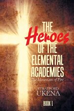 Heroes of the Elemental Academies