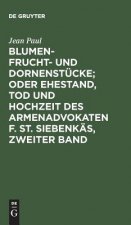 Blumen- Frucht- und Dornenstucke; oder Ehestand, Tod und Hochzeit des Armenadvokaten F. St. Siebenkas, Zweiter Band