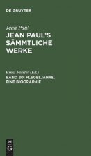 Jean Paul's Sammtliche Werke, Band 20, Flegeljahre. Eine Biographie