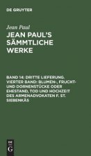 Jean Paul's Sammtliche Werke, Band 14, Dritte Lieferung. Vierter Band