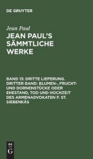 Jean Paul's Sammtliche Werke, Band 13, Dritte Lieferung. Dritter Band