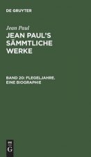 Jean Paul's Sammtliche Werke, Band 20, Flegeljahre. Eine Biographie
