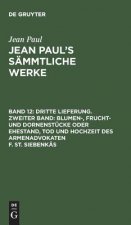 Jean Paul's Sammtliche Werke, Band 12, Dritte Lieferung. Zweiter Band