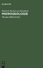 Mikrogeologie