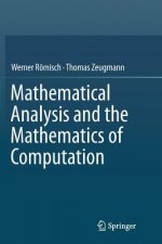 Mathematical Analysis and the Mathematics of Computation