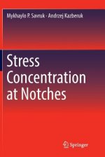Stress Concentration at Notches