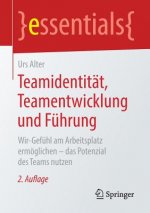 Teamidentitat, Teamentwicklung und Fuhrung