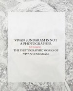 Vivan Sundaram Is Not a Photographer - The Photographic Works of Vivan
