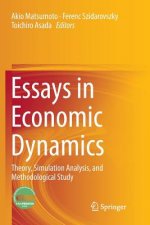 Essays in Economic Dynamics